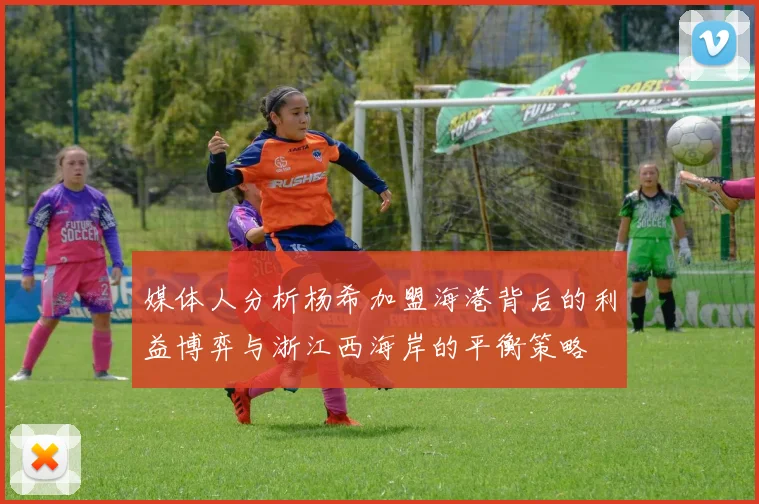 媒体人分析杨希加盟海港背后的利益博弈与浙江西海岸的平衡策略