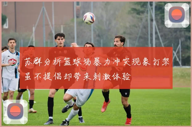 苏群分析篮球场暴力冲突现象打架虽不提倡却带来刺激体验