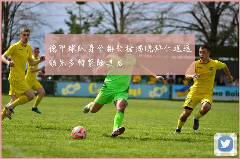 德甲球队身价排行榜揭晓拜仁遥遥领先多特紧随其后