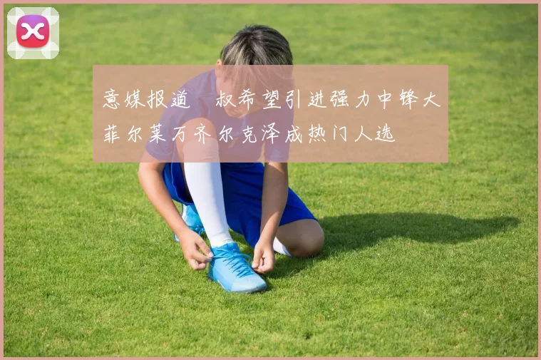 意媒报道囧叔希望引进强力中锋大菲尔莱万齐尔克泽成热门人选
